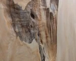 一枚板テーブル　トチノキ　クボミ