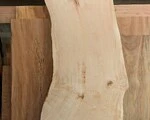 一枚板テーブル　トチノキ　木裏